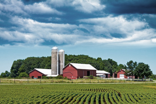 حداکثر متراژ ساخت زمین زراعی