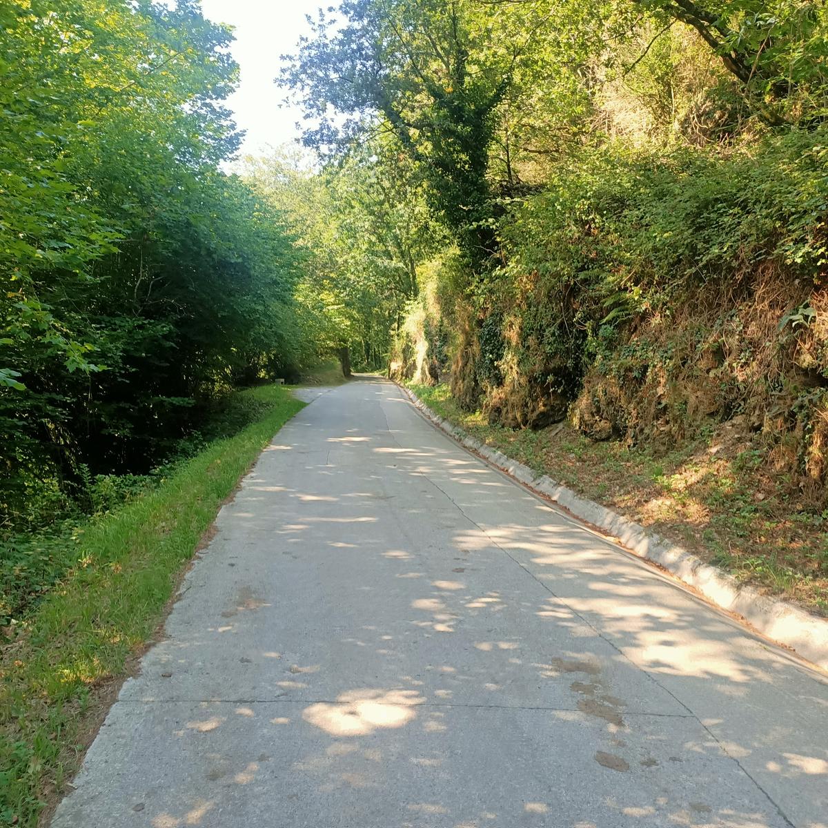 دسترسی دشوار به ویلای جنگلی از معلیب آن می باشد.